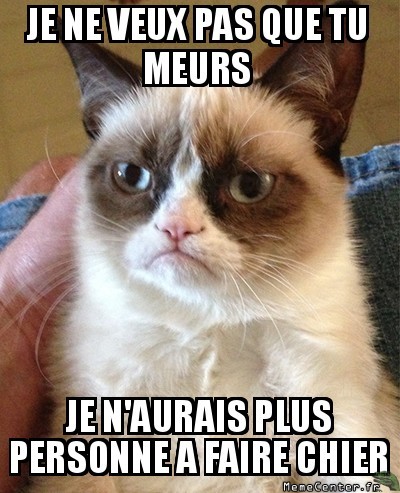 grumpy cat 666