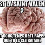 je hais la saint valentin !