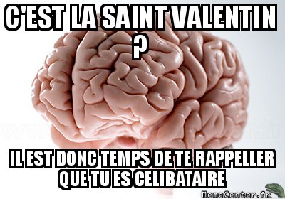 je hais la saint valentin !