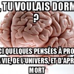 Dormir ? Pour quoi faire ?
