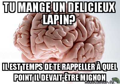 pauvre lapin