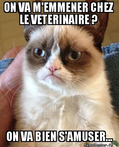 Pauvre veterinaire
