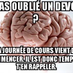 Les devoirs