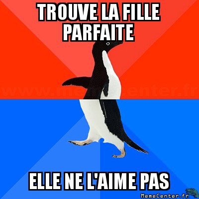 La fille parfaite