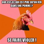 Poulet