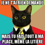 Un chat, un vrai