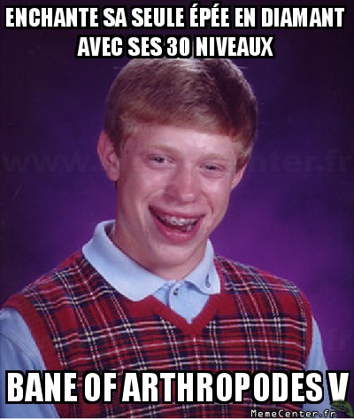 Le truc le plus énervant dans Minecraft