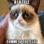 Ce chat est diabolique