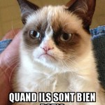 les chiens