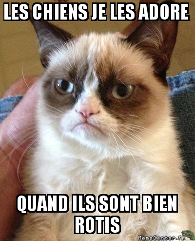 les chiens