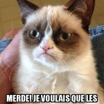le chat