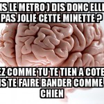 Froteur debutant