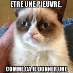 les pieuvres