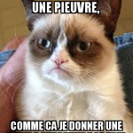 pieuvres