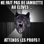L'école pour Insanity wolf