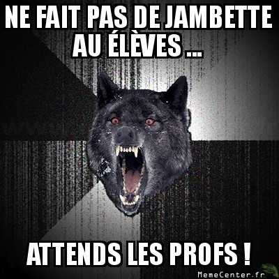 L'école pour Insanity wolf