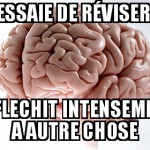 révision