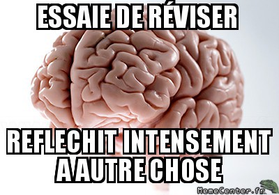 révision