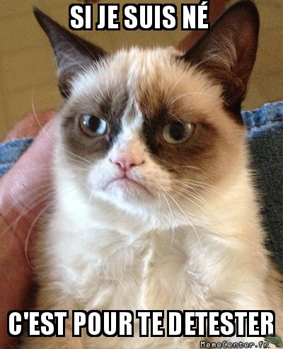les chats nous aiments