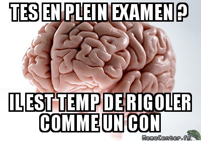cerveau drole