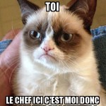 Qui est le boss ?