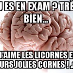Examen...