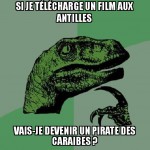 Pirate des caraibes