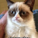 Nécrocat