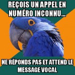 L'appel...