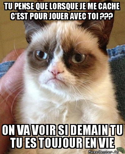 tu pense que je joue?