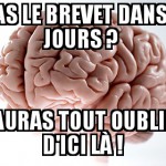 Pour le brevet..