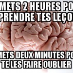 Trolocerveau