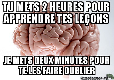 Trolocerveau