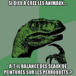 Dieux et les Zanimo