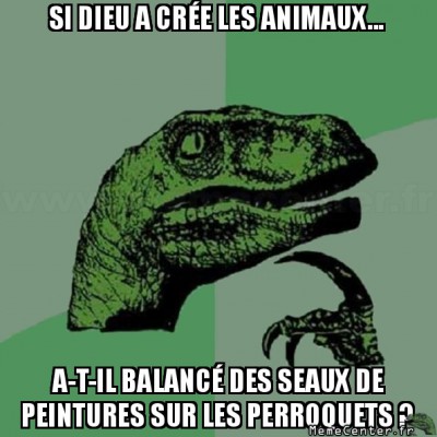 Dieux et les Zanimo