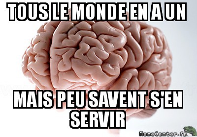 Brain