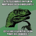 Pirate informatique.. des caraïbes :/